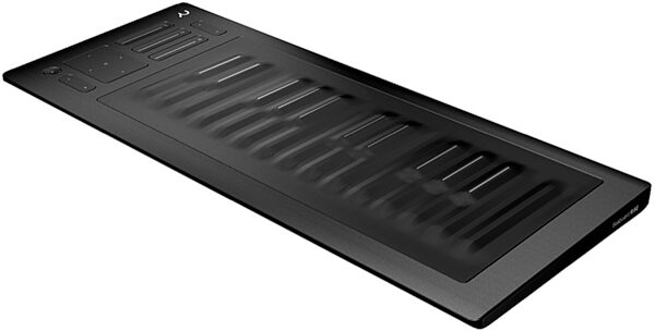ROLI Seaboard RISE 25 USB MIDI Keyboard Controller, 25-Key, Angle 3