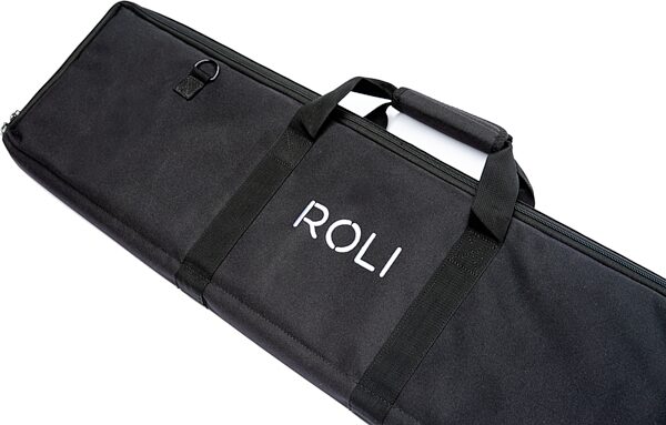 ROLI Seaboard RISE 49 Softcase, Angle