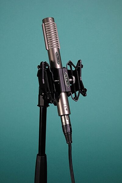 Royer Labs R-122 MKII Active Ribbon Microphone, Bundle with RSM-SS1 Sling-Shockmount, Action Position Back