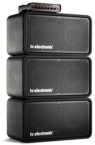 TC Electronic RS210 Bass Cabinet (400 Watts, 2x10"), With RH450 3-Stack (Not Included)