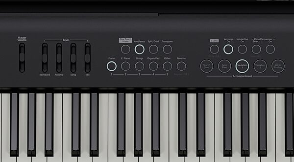 Roland FP-E50 Digital Stage Piano, Black, FP-E50-BK, Action Position Back