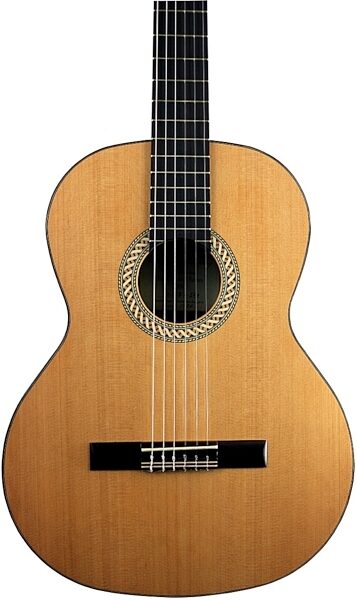 Kremona S65C Soloist Classical Acoustic Guitar (with Gig Bag), Front Closeup