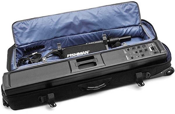 Fishman SA330x Performance Audio System, View