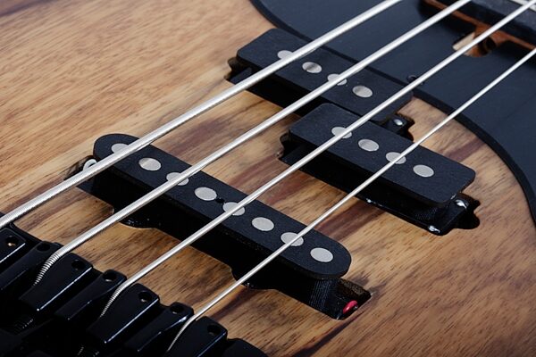 Schecter Model-T 4 Exotic Electric Bass, Black Limba, Action Position Back