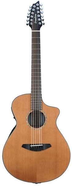 Breedlove Solo Concert 12 Acoustic-Electric Guitar (with Gig Bag), 12-String, Main