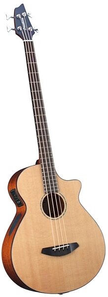 Breedlove Solo Acoustic-Electric Bass (with Gig Bag), Angle
