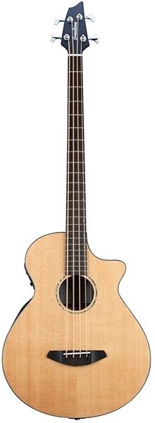 Breedlove Solo Acoustic-Electric Bass (with Gig Bag), Main