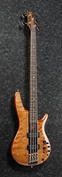 Ibanez SR2400 Premium Electric Bass (with Gig Bag), Angled Side