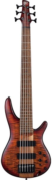 Ibanez SR876 Electric Bass, 6-String, Main