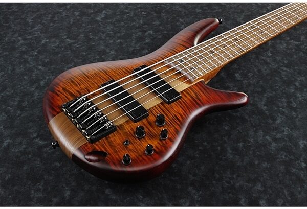 Ibanez SR876 Electric Bass, 6-String, View