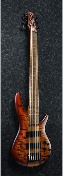 Ibanez SR876 Electric Bass, 6-String, View