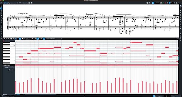 Steinberg Dorico Elements 5 Notation Software, Digital Download, Action Position Back