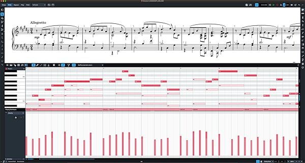 Steinberg Dorico Pro 5 Notation Software, Digital Download, Action Position Back