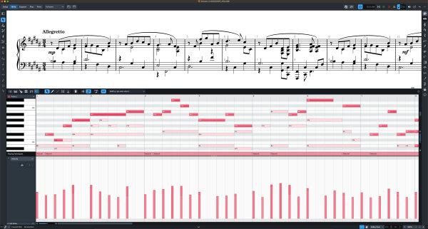 Steinberg Dorico Pro 5 Notation Software, Digital Download, Action Position Back