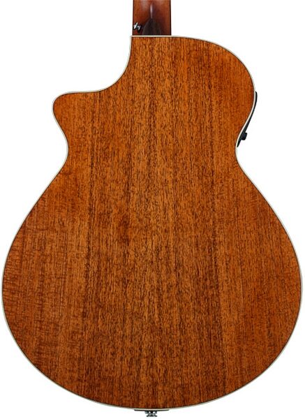 Breedlove Studio Series Acoustic-Electric Bass (with Gig Bag), Body Back