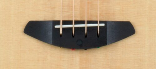 Breedlove Studio Series Acoustic-Electric Bass (with Gig Bag), Bridge