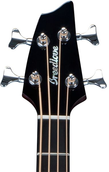 Breedlove Studio Series Acoustic-Electric Bass (with Gig Bag), Headstock - Front