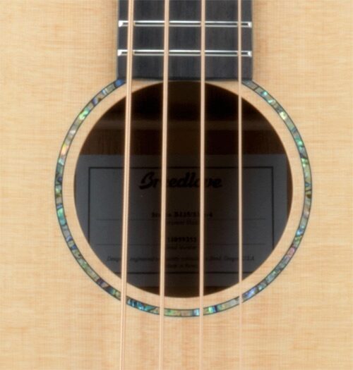 Breedlove Studio Series Acoustic-Electric Bass (with Gig Bag), Soundhole