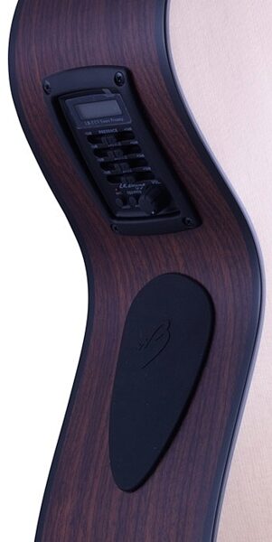 Breedlove Atlas Solo C350/SRe Acoustic-Electric Guitar, 12-String with Case, Controls