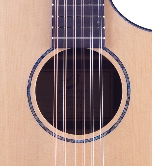 Breedlove Atlas Solo C350/SRe Acoustic-Electric Guitar, 12-String with Case, Soundhole