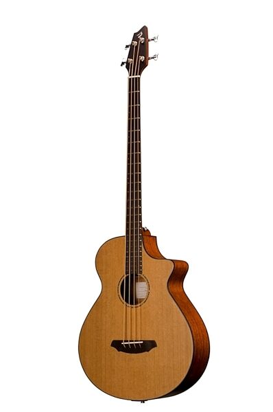 Breedlove Solo BJ350/CME4 Acoustic Bass Guitar with Case, Fretted Version