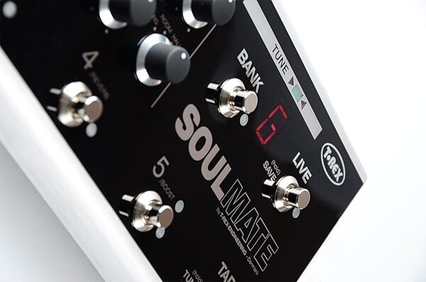 T-Rex SoulMate Guitar Multi-Effects Pedalboard, Closeup