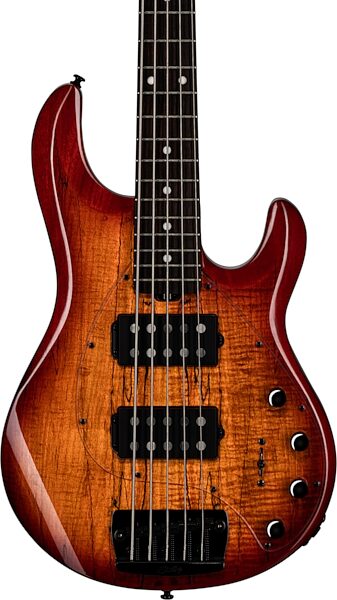 Sterling by Music Man Ray35HH Spalted Maple Electric Bass (with Gig Bag), Action Position Back