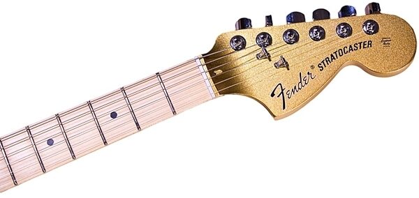 Fender Exclusive American Special Stratocaster Electric Guitar (with Gig Bag), ve