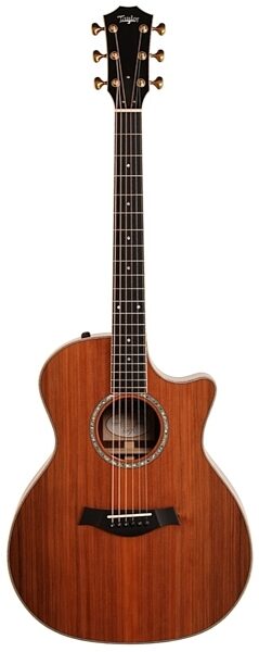 Taylor GA Custom Cocobolo Sinker Acoustic-Electric Guitar, Main