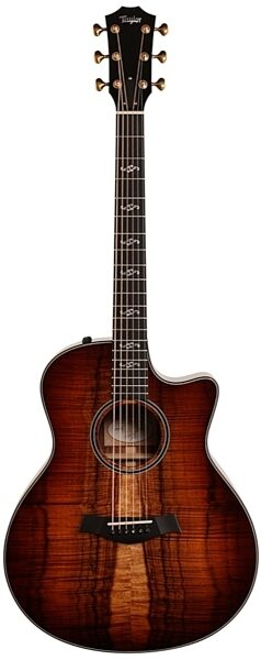 Taylor GS Custom AA Koa Acoustic-Electric Guitar, Main
