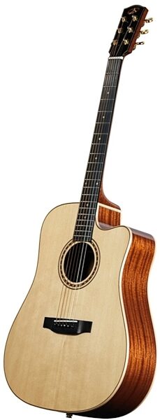 Bedell TBCE-18-G Performance Dreadnought Acoustic-Electric Guitar (with Gig Bag), Main