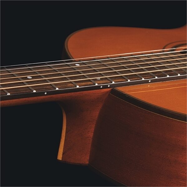 Washburn Timeless Parlor Acoustic Guitar (with Case), Angle1