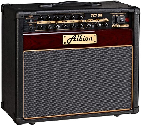 Albion TCT35C Guitar Combo Amplifier (35 Watts), Right