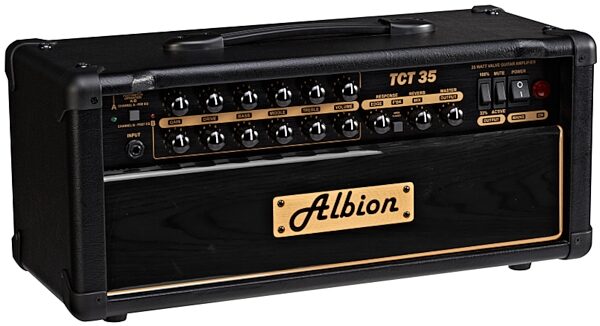 Albion TCT35H Guitar Amplifier Head (35 Watts), Right