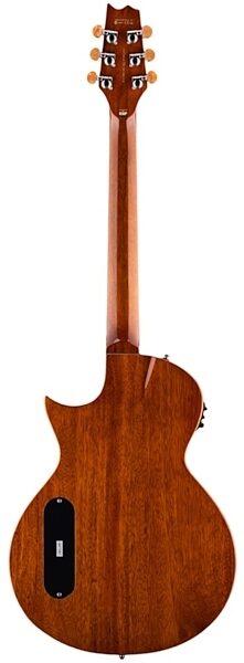 ESP LTD Thinline TL-6Z Acoustic-Electric Guitar, Back