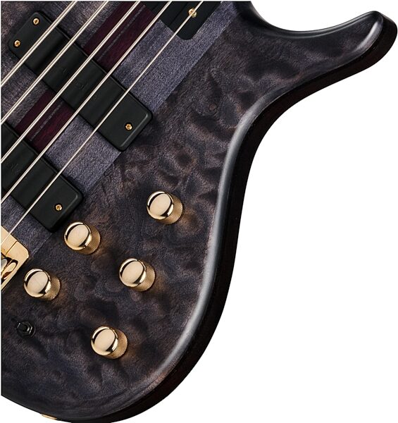 Tobias Classic V Electric Bass, 5-String (with Gig Bag), Transparent Black, Open Box (Very Good), Action Position Back
