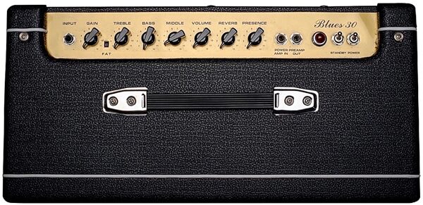 Bootlegger Blues 30 Guitar Combo Amplifier with Reverb, Top