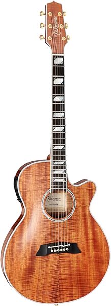 Takamine TSP178AC Thinline Acoustic-Electric Guitar (with Gig Bag), Action Position Back