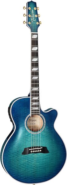 Takamine TSP178AC Thinline Acoustic-Electric Guitar (with Gig Bag), Action Position Back