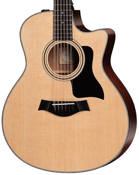 Taylor 356ce Grand Symphony Acoustic-Electric Guitar, 12-String (with Case), Body
