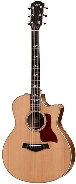 Taylor 416ce Grand Symphony Fall Limited Acoustic-Electric Guitar, Main