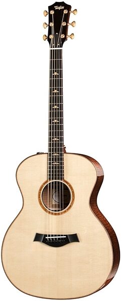 Taylor 514e-FLTD-13 2013 Fall Limited Edition Acoustic-Electric Guitar, Main