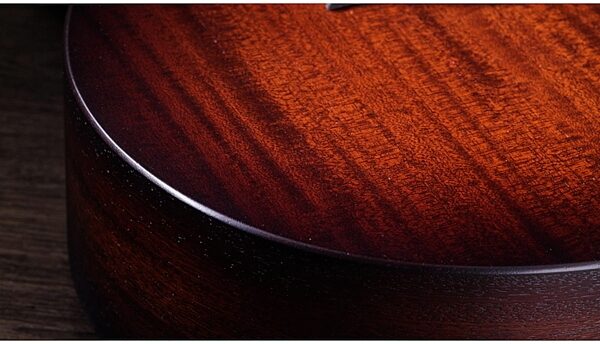 Taylor AD21e Acoustic-Electric Guitar (with AeroCase), View