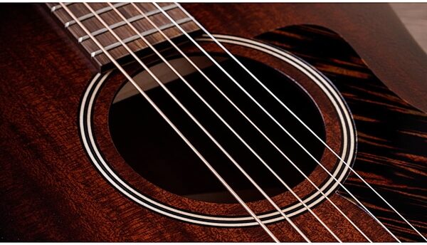 Taylor AD21e Acoustic-Electric Guitar (with AeroCase), View