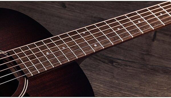 Taylor AD21e Acoustic-Electric Guitar (with AeroCase), View
