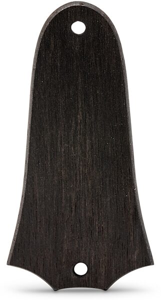 Taylor Truss Rod Cover, Ebony, 2 Hole, Action Position Back
