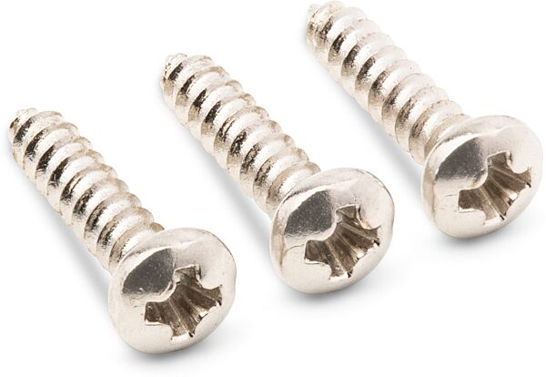 Taylor Truss Rod Cover Screws, Chrome, Action Position Back
