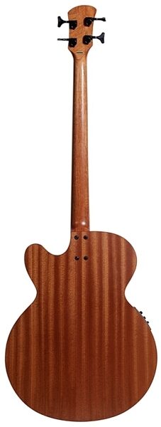 Spector Timbre Acoustic-Electric Bass (with Gig Bag), Natural Back