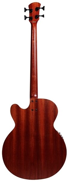 Spector Timbre Acoustic-Electric Bass (with Gig Bag), Walnut Back
