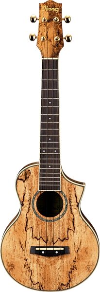 Ibanez UEW20 Concert Ukulele (with Gig Bag), Spalted Mango